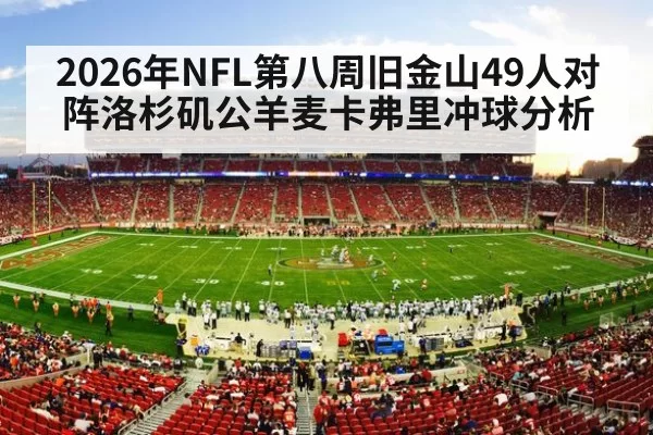 nfl stadium game action